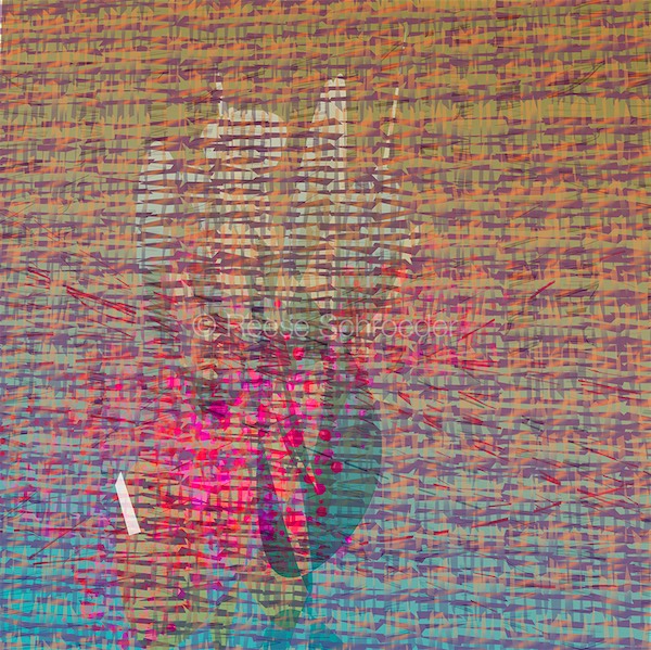 When I open my eyes to the deseert around me I see patterns.